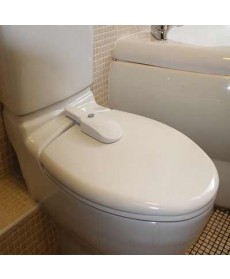 Toilet seat lock